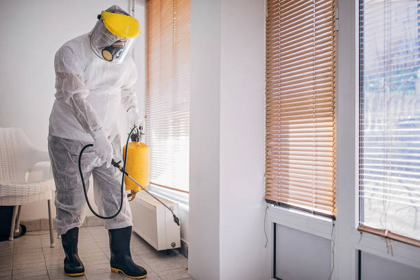 COVID cleaning service - disinfecting and spraying every room in the building