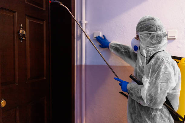 COVID cleaning service - spraying the house , and disinfecting the staircase fence